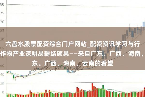 六盘水股票配资综合门户网站_配资资讯学习与行情说明 热带作物产业深耕易耨结硕果——来自广东、广西、海南、云南的看望
