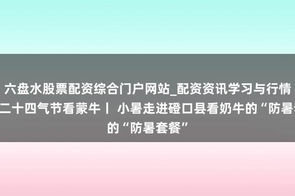 六盘水股票配资综合门户网站_配资资讯学习与行情说明 二十四气节看蒙牛丨 小暑走进磴口县看奶牛的“防暑套餐”